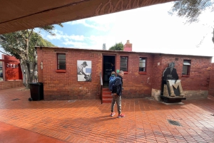 Johannesburg: dagtour met Apartheidmuseum en Soweto