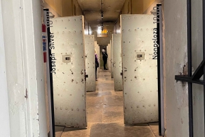 Johannesburg: dagtour met Apartheidmuseum en Soweto