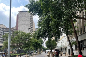 Johannesburg: dagtour met Apartheidmuseum en Soweto