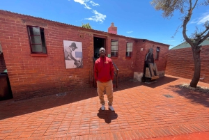 Johannesburg: dagtour met Apartheidmuseum en Soweto