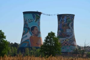 Johannesburg: Dagsutflykt med Soweto & Apartheid Museum