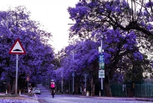 Johannesburg: Wycieczka z przewodnikiem po historii i najważniejszych wydarzeniach