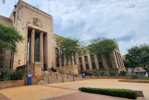 Johannesburg: Gold and History Private Guided Tour