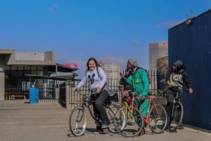 Johannesburgo: Visita guiada en bicicleta por la ciudad