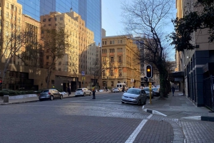 Johannesburg hidden gems walking tours by (BlackCatTourisum)