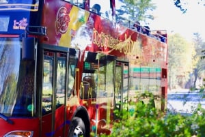 Johannesburg: Hop-On Hop-Off Bus with Optional Soweto Tour