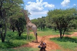 JOHANNESBURG: Abenteuer Reiten und Quadfahren