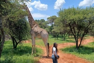 JOHANNESBURG: Abenteuer Reiten und Quadfahren
