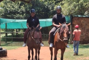 JOHANNESBURG: Abenteuer Reiten und Quadfahren