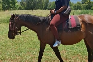 JOHANNESBURG: Abenteuer Reiten und Quadfahren