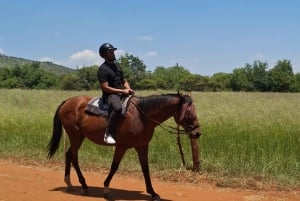 JOHANNESBURG: Abenteuer Reiten und Quadfahren