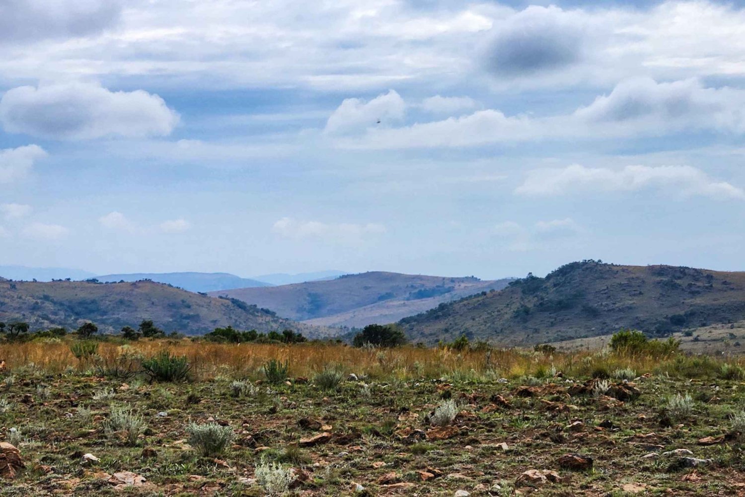 Johannesburg: Jednodniowa wycieczka 'Pochodzenie człowieka' i muzeum Malapa