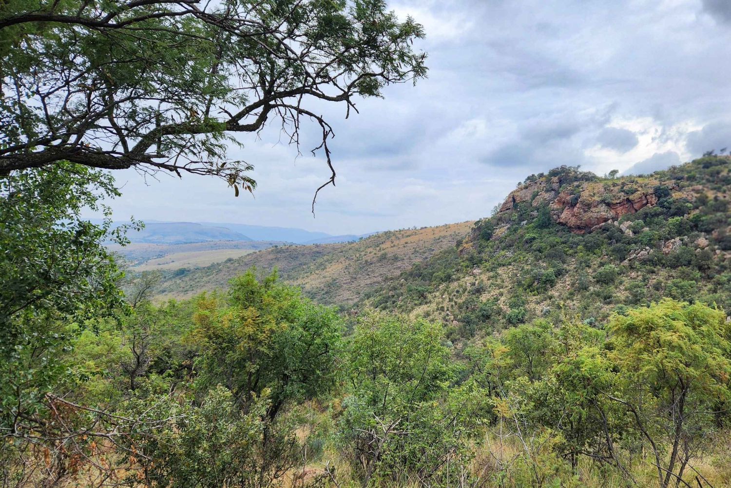 Johannesburg: Tagestour 'Human Origins' und Malapa Museum