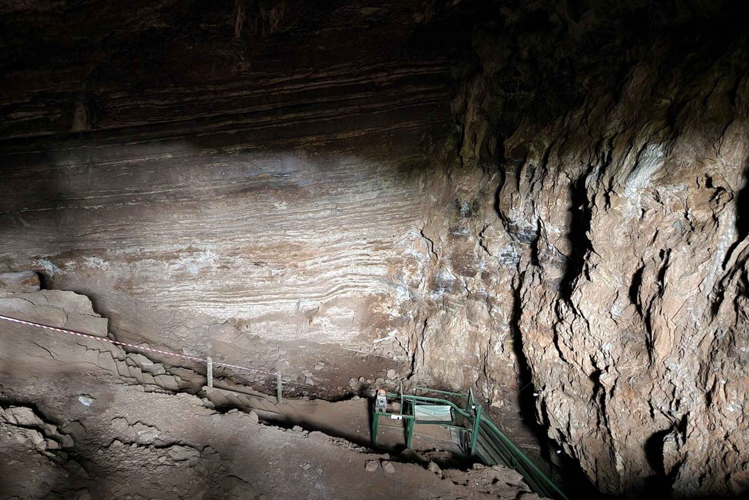 Johannesburg: Tagestour 'Human Origins' und Malapa Museum