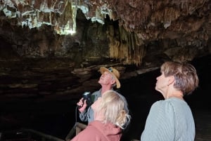 ヨハネスブルグ：人類の起源日帰りツアーとマラパ博物館