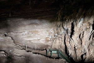 Johannesburg: Tagestour 'Human Origins' und Malapa Museum