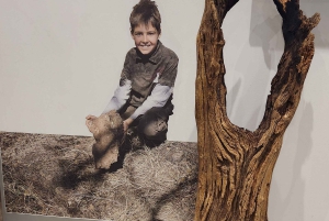 Johannesburg: Tagestour 'Human Origins' und Malapa Museum