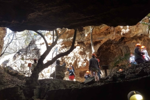 Johannesburg: Tagestour 'Human Origins' und Malapa Museum