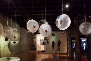 Johannesburg: Tagestour 'Human Origins' und Malapa Museum