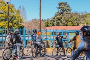 Johannesburg: Inner City Guided Cycling Tour