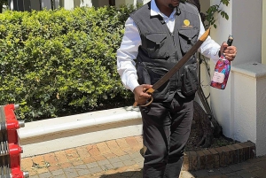 Joanesburgo: Viagem de 9 dias a Joanesburgo, Safari e Cidade do Cabo