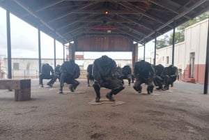 Johannesburg: tur til Johannesburg med apartheidsmuseum