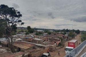 Johannesburg: tur til Johannesburg med apartheidsmuseum