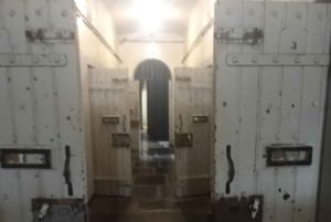 Johannesburg: tur til Johannesburg med apartheidsmuseum