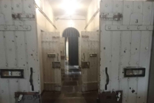 Johannesburg: Johannesburgin kierros ja Apartheid-museo