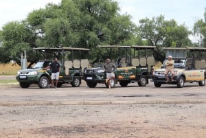 Johannesburg : forfait transfert et safari à Kwa Maritane