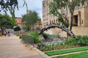 Johannesburg: tour di transito personalizzato in base alle tue esigenze