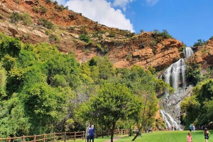 Johannesburg: Tarpeisiisi räätälöity välilaskun kiertomatka