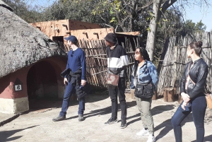 Johannesburg: Spettacolo del villaggio culturale di Lesedi con prelievo