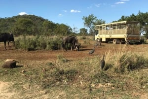 Johannesburg: Lion and Safari Park Guided Tour