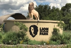 Johannesburg Lion & Safari Park TRANSPORT OG INNGANG INKLUDERT