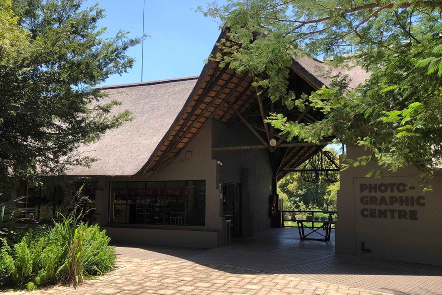 Йоханнесбург: тур в парк львов и сафари с трансфером из отеля