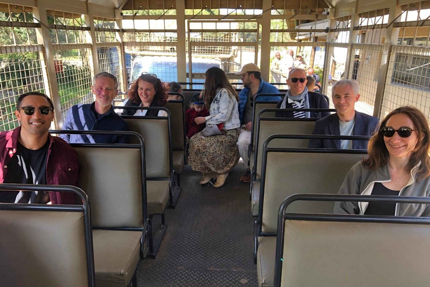 Йоханнесбург: тур в парк львов и сафари с трансфером из отеля