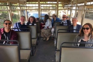 Johannesburgo: Excursión al Parque del León y el Safari con servicio de recogida del hotel