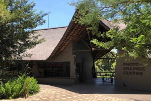 Йоханнесбург: тур в парк львов и сафари с трансфером из отеля