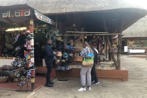 Johannesburg Lion Park og Lesedi Cultural Village