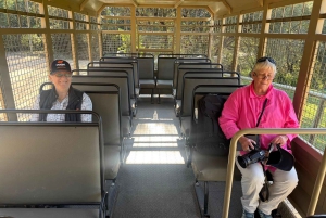 Johannesburg Lion Park i Lesedi Cultural Village