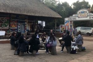 Johannesburg Lion Park i Lesedi Cultural Village