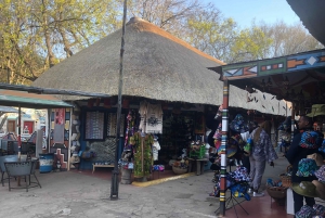 Johannesburg Lion Park i Lesedi Cultural Village