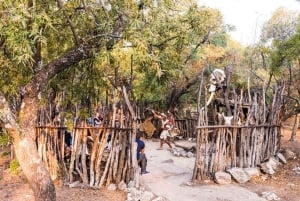 Joanesburgo: Safari no Lion's Park e Aldeia Cultural Lesedi