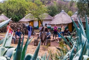 Joanesburgo: Safari no Lion's Park e Aldeia Cultural Lesedi