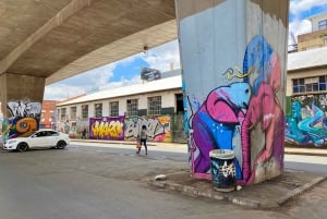 Johannesburg: Tour artistico e culturale di Maboneng Street