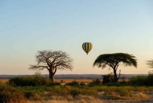 Johannesburg: Hot Air Balloon Flight