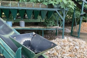 Johannesburg: Mapatiza Mine Guided Tour with Showroom