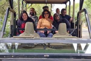 Johannesburg: Pilanesberg naturreservat med overnatting og safari