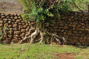 Johannesburg: Pilanesberg naturreservat med overnatting og safari